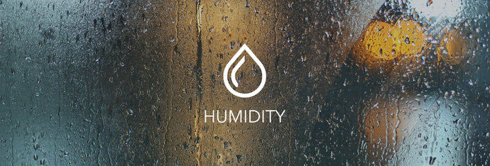 Everything you need to know about humidity