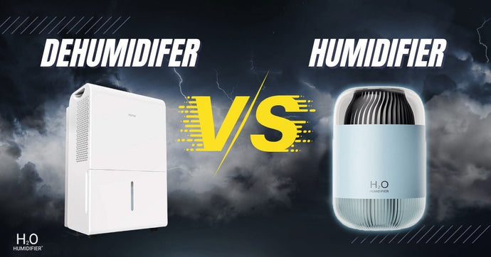 Humidifier Vs. Dehumidifier: What’s the Difference?
